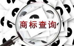 商标注册查询的技巧