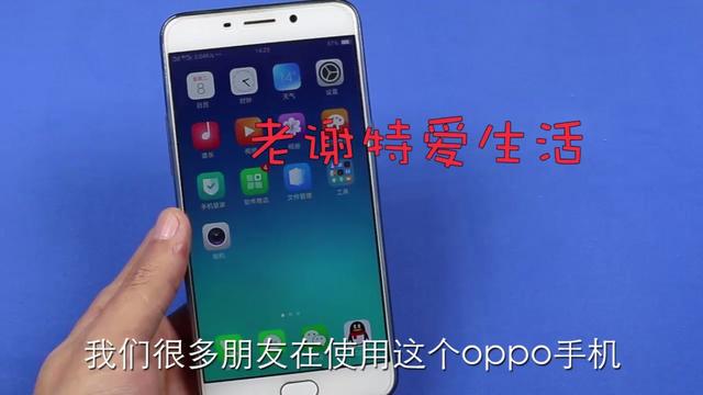 oppo手机查询真伪(oppo真假查询官网)