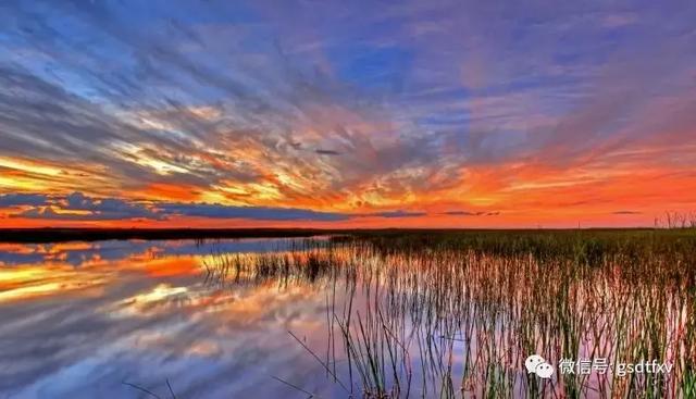 七匹狼查询(七匹狼防伪码查询网站)