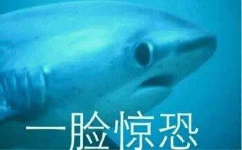 身份证查询软件(输入手机号查身份证号)