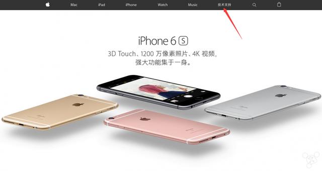 oppo序列号查询(oppo序列号查询官网)