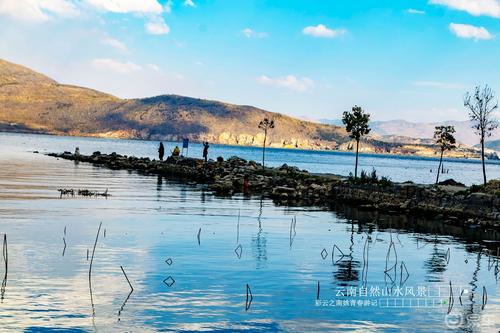 恒大地产股票市值 (中国恒大市值)