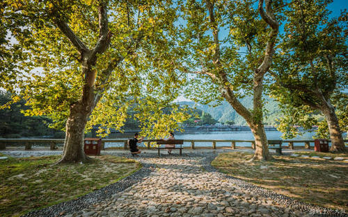 2020台湾大选票数对比 (2020台湾大选票数实时)