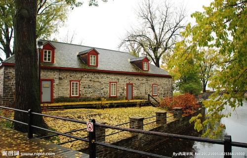 举报不实怎么处理 (网上举报怎么举报)