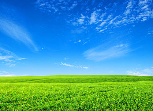 女子把被骗的钱又骗回来了 (女子被骗21万)