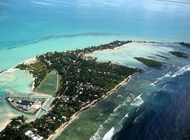 南京酒多少钱  南京n酒多少钱