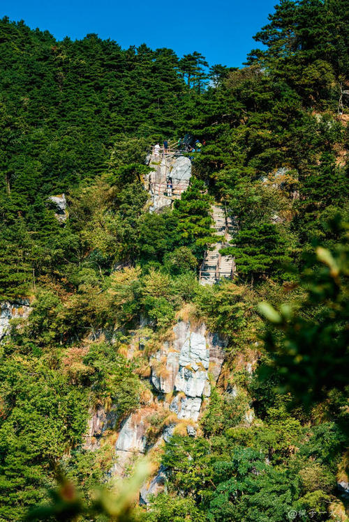 人失联报警后怎么处理 (失联后多久可以报警)