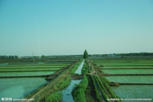 2021年日历全年表 (2021年全部电视剧)