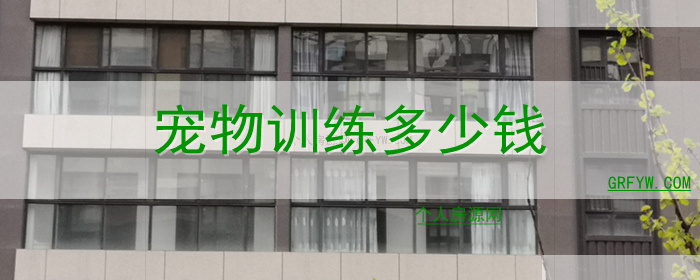 宠物训练多少钱