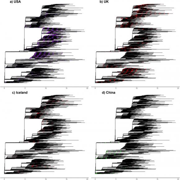 疫情什么时候开始的准确时间（新冠最早始于2019年十月）