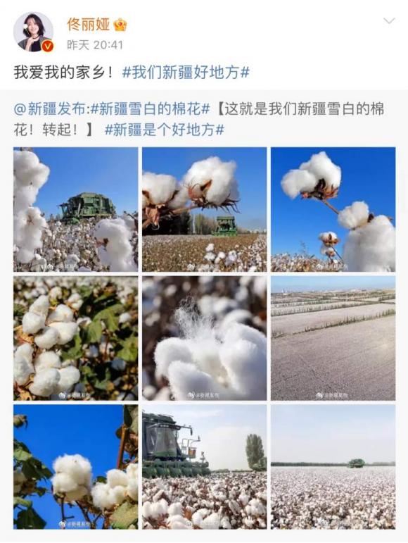 新疆棉花事件的起因经过和结果（新疆棉花辱华名单）