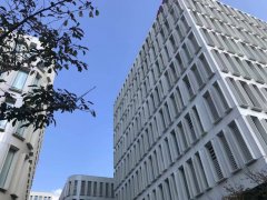 商标驳回危机：品牌重塑还是名称保留？