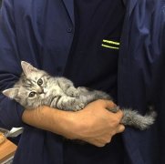 知识课堂“商标注册需要找第三方代办吗”