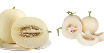 “阎良甜瓜”地理标志证明商标正式启用