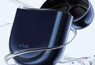 4080件商标保驾护航的VIVO，这件“VIVO”商标却被