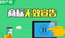 全国无效宣告请求案件「申请人」排行榜（TOP1