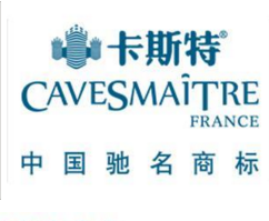 特斯拉被抢注 无惧商标纠纷 特斯拉将在广深开店