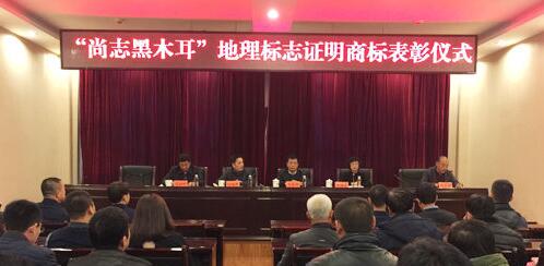 “尚志黑木耳”地理标志证明商标获50万元奖励 产品年末上市
