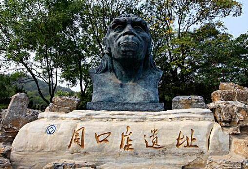 周口店北京猿人遗址申请商标注册