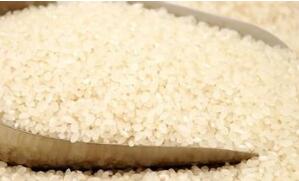 南通“如东大米”喜获国家地理标志性商标