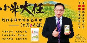 “任小米”商标因缺乏显著性被驳回