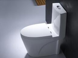 伊利马桶与伊利牛奶商标并存?