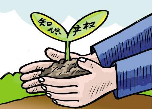 衢州开设知识产权贯标企业内审员培训班