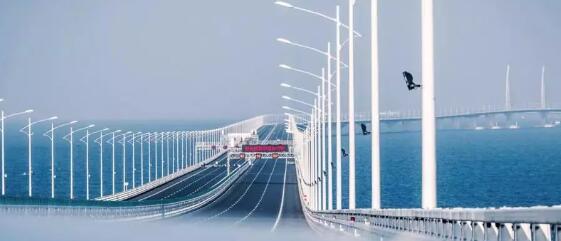 《粤港澳大湾区发展规划纲要》发布！强调强化