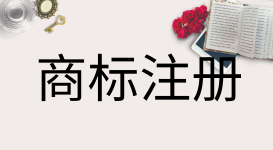 佛山推动商标强市 政府企业联合打假