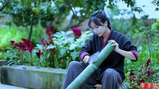 还没红就开始注册商标?李子柒背后的运营公司也