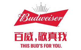 假冒 “百威”商标罐装啤酒，广西玉林兴业县法